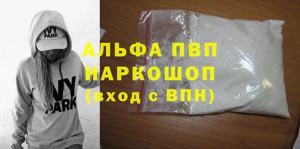 индика Аркадак