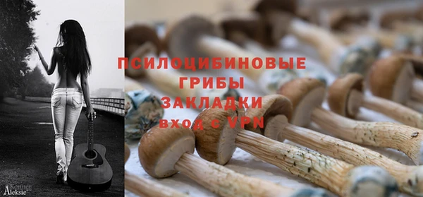 МДПВ Арсеньев