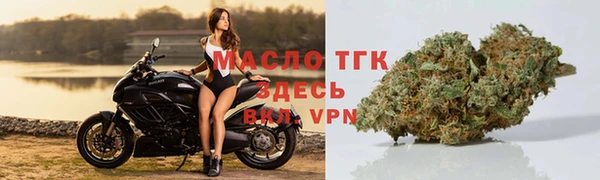 индика Аркадак