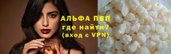 индика Аркадак