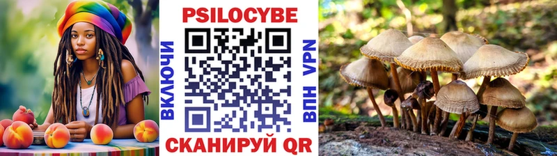 Псилоцибиновые грибы MAGIC MUSHROOMS  купить наркотики сайты  МЕГА вход  Снежногорск 